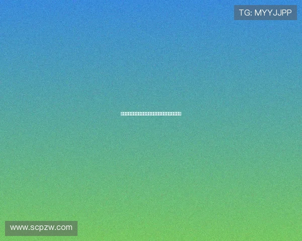 抓饭美食文化探索：细品传统风味，感受各地独特魅力